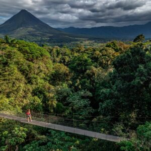 Hanging Bridges Guided Experience